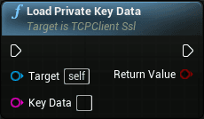 TCP client openssl
