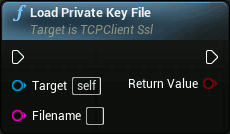 TCP client openssl