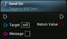WS client