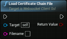 WS client openssl