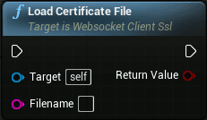 WS client openssl