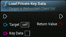 WS client openssl