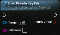 WS client openssl