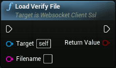 WS client openssl