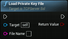 TCP client openssl