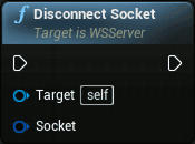 WS server