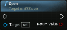 WS server