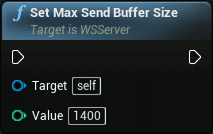 WS server