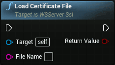 WS server openssl