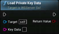 WS server openssl