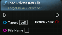 WS server openssl